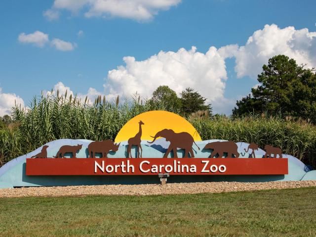 nczooentrance-DMID1-5k1gzwmvc-640x480