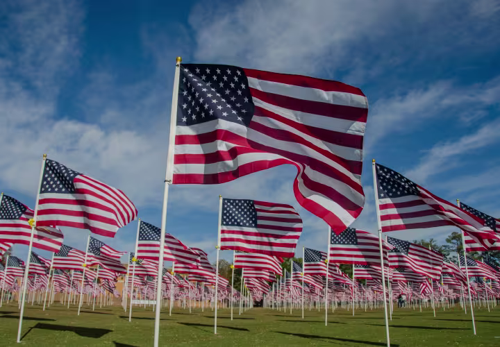 bc1c4a4c-ac6d-401c-b3ae-03d44e0fa105-ASHEBORO_FIELD_OF_HONOR_11-11-16-2_EBFB460A-0228-65B0-22312E9F39BBED76_ec39ad30-c160-56b0-8c2463e1f9189866